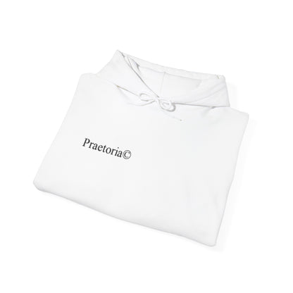 Praetoria© Lightning Horse Hoodie — Electric Purple Pegasus Graphic Sweatshirt