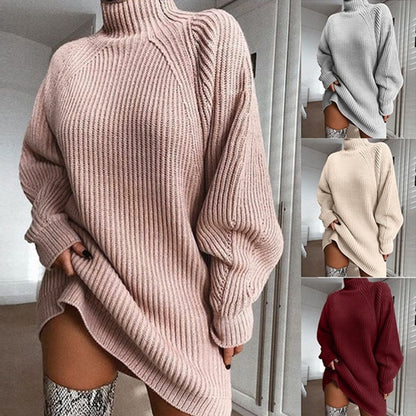 Turtleneck Long Sweater Winter Warm Dress