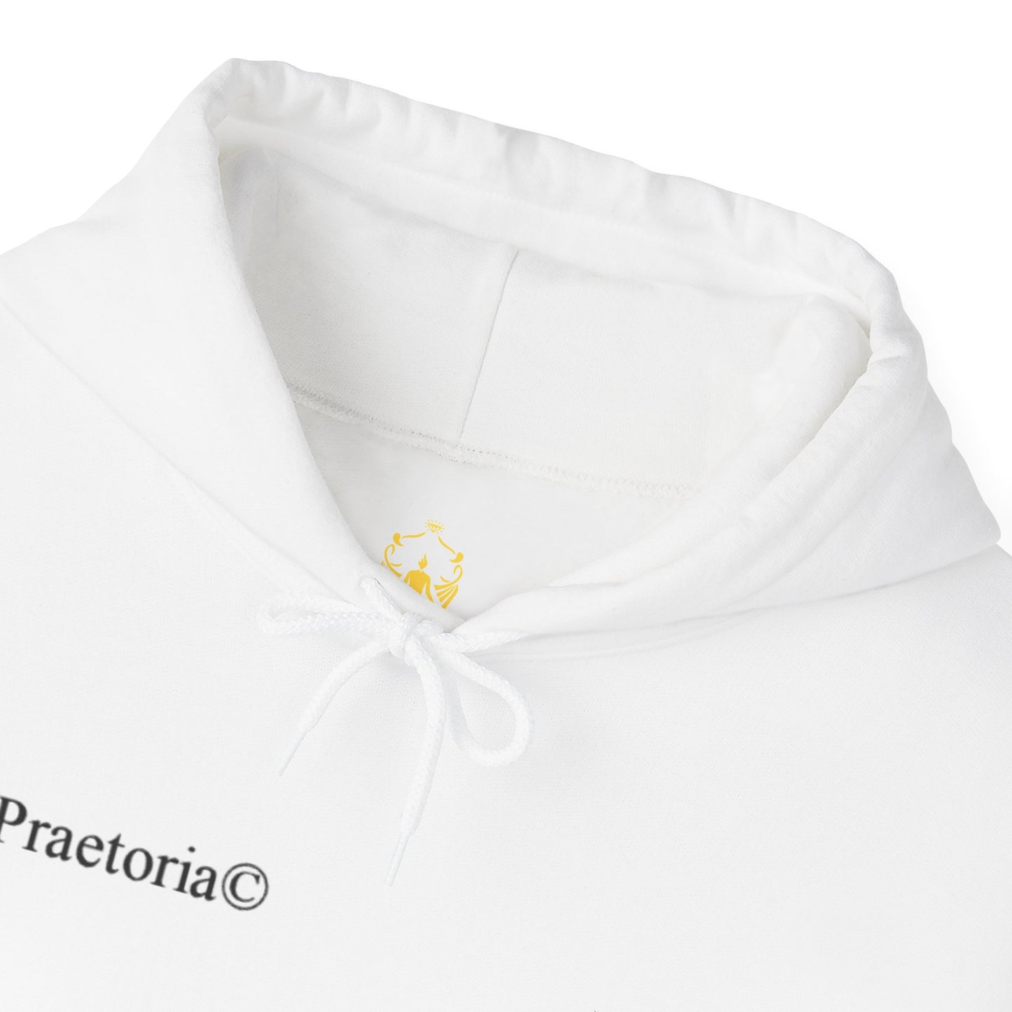 Praetoria© Lightning Horse Hoodie — Electric Purple Pegasus Graphic Sweatshirt