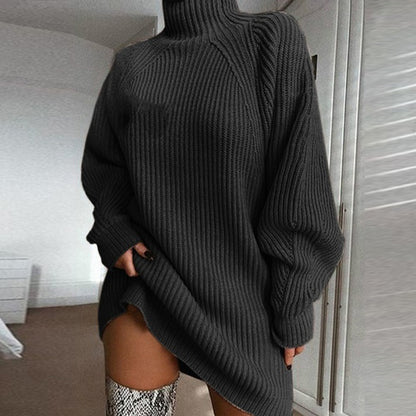 Turtleneck Long Sweater Winter Warm Dress