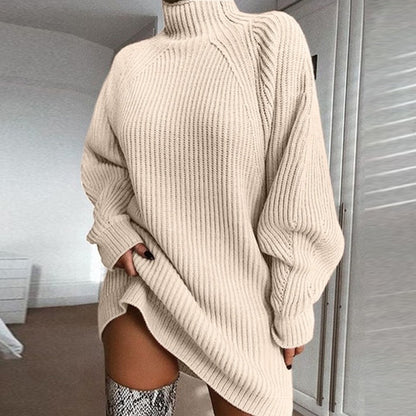 Turtleneck Long Sweater Winter Warm Dress