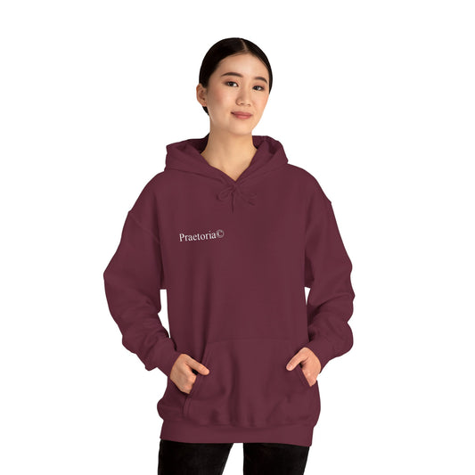 Praetoria© Lightning Horse Hoodie — Electric Purple Pegasus Graphic Sweatshirt