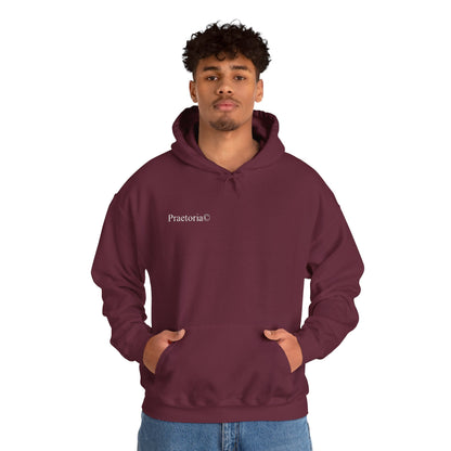 Praetoria© Lightning Horse Hoodie — Electric Purple Pegasus Graphic Sweatshirt